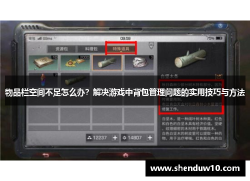 物品栏空间不足怎么办？解决游戏中背包管理问题的实用技巧与方法